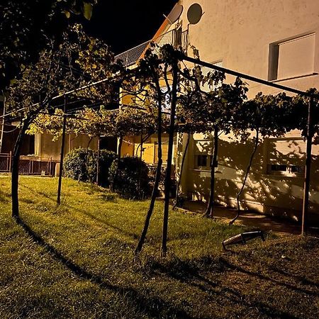 Entire Spacious Apartment With Free Parking Podgorica Exterior photo